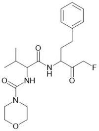 Cei mai buni 10 producători de substraturi peptidice din China în 2026